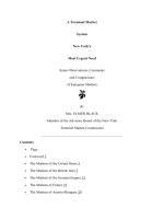 A Terminal Market System New York''''s Most Urgent Need docx