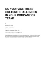 DO YOU FACE THESE CULTURE CHALLENGES IN YOUR COMPANY OR TEAM?by Richard Parkes Cordock SMASHWORDS EDITIONCopyright © Richard Parkes Cordock 2012 First Published 2012 by ELW Publishing Bath, UKThank you for downloading this free ebook. You are welcome potx