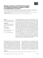 Báo cáo khoa học: Change in structure of the N-terminal region of transthyretin produces change in afﬁnity of transthyretin to T4 and T3 pdf