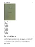 The Trained Memory doc