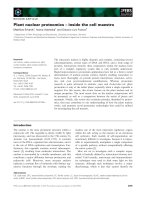 Báo cáo khoa học: Plant nuclear proteomics – inside the cell maestro pdf