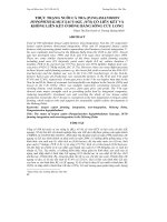 THỰC TRẠNG NUÔI CÁ TRA (PANGASIANODON HYPOPHTHALMUS SAUVAGE, 1878) CÓ LIÊN KẾT VÀ KHÔNG LIÊN KẾT Ở ĐỒNG BẰNG SÔNG CỬU LONG potx