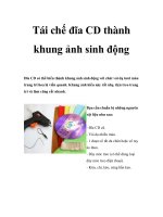 Tái chế đĩa CD thành khung ảnh sinh động ppt