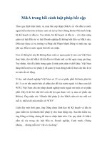 M&A trong bối cảnh luật pháp bất cập potx