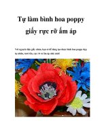 Tự làm bình hoa poppy giấy rực rỡ ấm áp pot