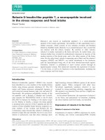 Báo cáo khoa học: Relaxin-3⁄ insulin-like peptide 7, a neuropeptide involved in the stress response and food intake Masaki Tanaka pptx