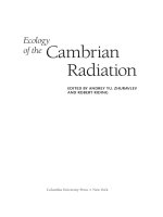 Ecology of the Cambrian Radiation ppt
