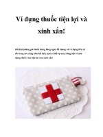 Ví đựng thuốc tiện lợi và xinh xắn potx