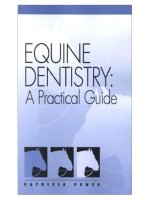 EQUINE DENTISTRY A PRACTICAL GUIDE docx