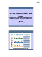 Agricultural Investment Funds (AIFs) 2010 ppt