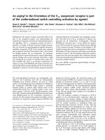 Báo cáo khoa học: An arginyl in the N-terminus of the V1a vasopressin receptor is part of the conformational switch controlling activation by agonist docx