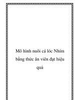 Mô hình nuôi cá lóc Nhím bằng thức ăn viên đạt hiệu quả potx
