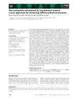 Báo cáo khoa học: The competitor-introduced Gc recruitment system, a new approach for screening afﬁnity-enhanced proteins doc