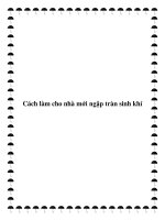 Cách làm cho nhà mới ngập tràn sinh khí doc