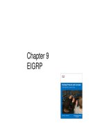 Routing Protocols and Concepts: Chapter 3 docx