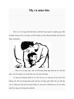 Mẹ và mùa bão ppt