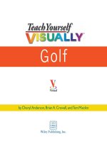 Teach Yourself Visually Golf ppt