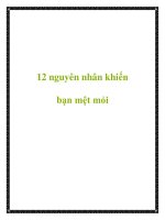 12 nguyên nhân khiến bạn mệt mỏi ppt