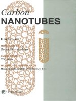 CARBON NANOTUBES 2012 pptx