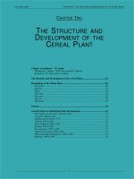 THE STRUCTURE AND DEVELOPMENT OF THE CEREAL PLANT pptx