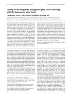 Báo cáo Y học: Cloning of the manganese lipoxygenase gene reveals homology with the lipoxygenase gene family doc