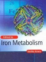 IRON METABOLISM Edited by Sarika Arora pptx