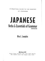 japanese verbs and essentials of grammar (2nd ed)