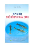 Kỹ thuật nuôi tôm sú thâm canh ppt