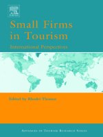 Small Firms in Tourism (Advances in Tourism Research)