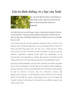 Giá trị dinh dưỡng và y học của Xoài doc