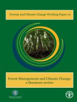 Forest Management and Climate Change: a literature review pdf