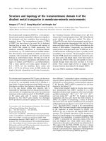 Báo cáo khoa học: Structure and topology of the transmembrane domain 4 of the divalent metal transporter in membrane-mimetic environments docx
