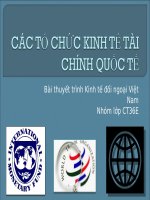 CÁC TỔ CHỨC KINH TẾ TÀI CHÍNH QUỐC TẾ docx