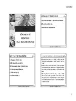 Kiểm toán ngân hàng docx