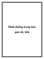 Dinh dưỡng trong hoa quả sấy khô potx