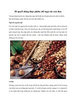 Bí quyết dùng thực phẩm chế ngự các cơn đau potx