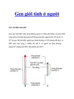 Gen giới tính ở ngườ iGen xác định nam giới pdf