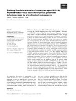 Báo cáo khoa học: Probing the determinants of coenzyme speciﬁcity in Peptostreptococcus asaccharolyticus glutamate dehydrogenase by site-directed mutagenesis potx