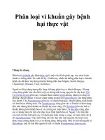 Phân loại vi khuẩn gây bệnh hại thực vật doc