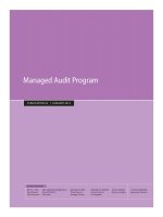 Managed Audit Program doc
