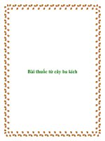 Bài thuốc từ cây ba kích pdf