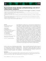 Báo cáo khoa học: Post-ischemic brain damage: pathophysiology and role of inﬂammatory mediators ppt