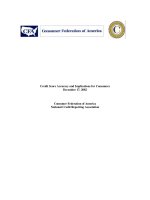 Credit Score Accuracy and Implications for Consumers December 17, 2002: Consumer Federation of America National Credit Reporting Association docx