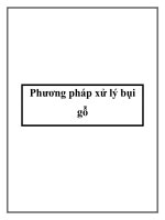 Phương pháp xử lý bụi gỗ pdf