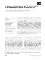 Báo cáo khoa học: Properties and signiﬁcance of apoFNR as a second form of air-inactivated [4Fe-4S]ÆFNR of Escherichia coli pot