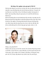 Hệ thống Trắc nghiệm Anh ngữ quốc tế IELTS pdf