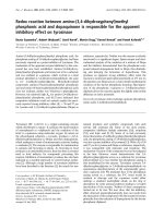 Báo cáo khoa học: Redox reaction between amino-(3,4-dihydroxyphenyl)methyl phosphonic acid and dopaquinone is responsible for the apparent inhibitory effect on tyrosinase doc