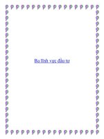 Ba lĩnh vực đầu tư pot