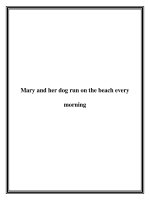 Mary and her dog run on the beach every morning pptx