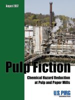 PULP FICTION - Chemical Hazard Reduction at Pulp and Paper Mills docx